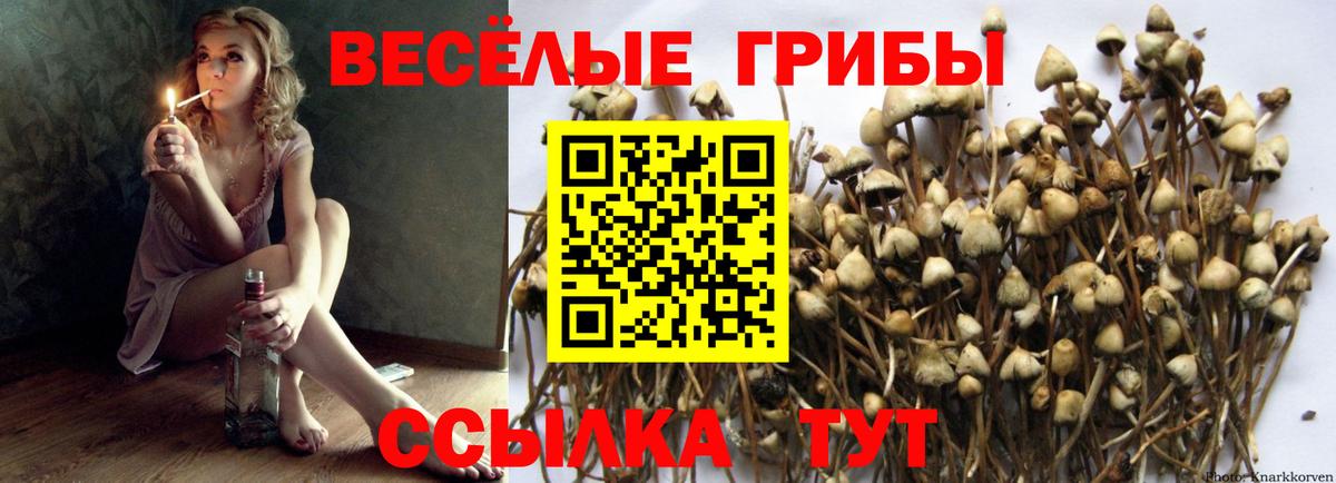 Псилоцибиновые грибы прущие грибы  Вход с VPN  Псилоцибиновые грибы MAGIC MUSHROOMS  Щёкино 