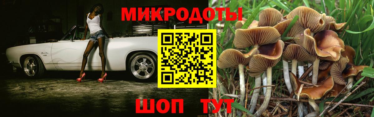 Галлюциногенные грибы GOLDEN TEACHER Щёкино